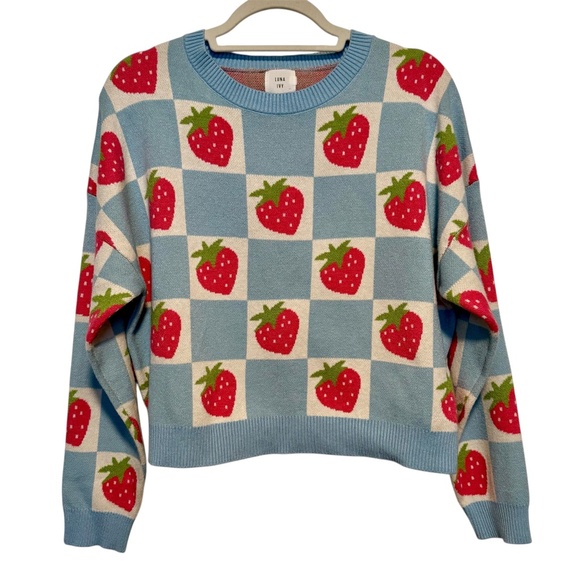 Anthropologie Luna Ivy Strawberry Blue White Checkered Sweater Size Large - Picture 1 of 13